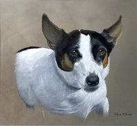 Superb Mid C20th Gouache Portrait of a Jack Russell Terrier by Rex Grattan Flood (1928-2009) SOLD