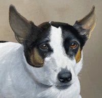 Superb Mid C20th Gouache Portrait of a Jack Russell Terrier by Rex Grattan Flood (1928-2009) SOLD