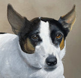 Superb Mid C20th Gouache Portrait of a Jack Russell Terrier by Rex Grattan Flood (1928-2009) SOLD