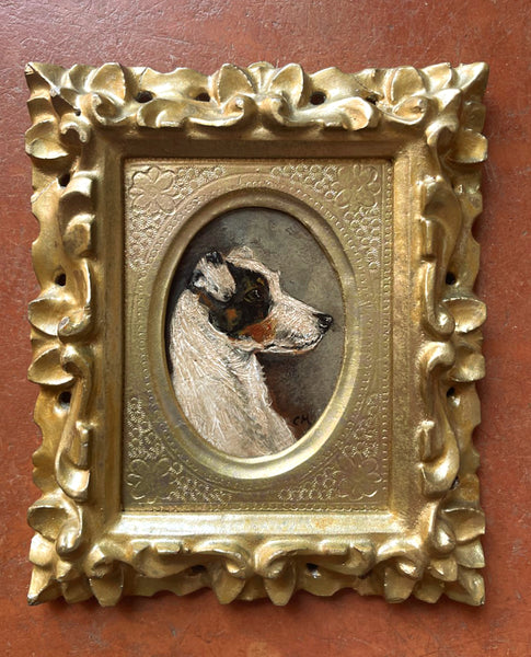 Exquisite Vintage Early C20th Miniature Oil on Board Portrait of a Terrier SOLD