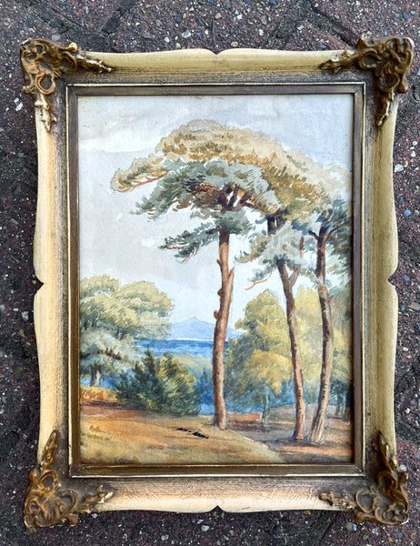 Exquisite C19th Victorian Grand Tour Watercolour - Woodland Landscape