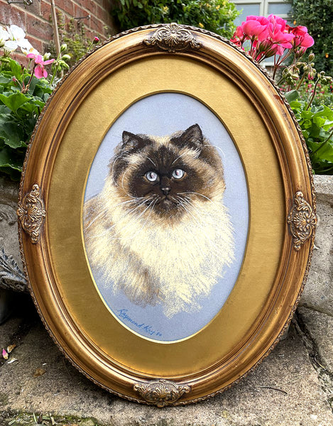 Delightful Vintage Mid C20th Oil Pastel Portrait of a Ragdoll Cat SOLD