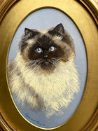 Delightful Vintage Mid C20th Oil Pastel Portrait of a Ragdoll Cat SOLD