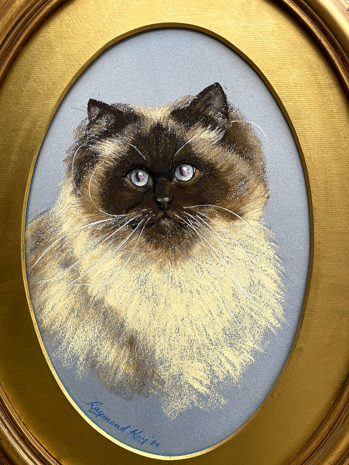 Delightful Vintage Mid C20th Oil Pastel Portrait of a Ragdoll Cat SOLD