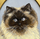 Delightful Vintage Mid C20th Oil Pastel Portrait of a Ragdoll Cat SOLD