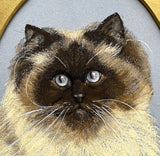 Delightful Vintage Mid C20th Oil Pastel Portrait of a Ragdoll Cat SOLD