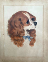 Delightful C19th Victorian Hand Coloured Mezzotint Engraving of a Spaniel SOLD