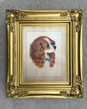 Delightful C19th Victorian Hand Coloured Mezzotint Engraving of a Spaniel SOLD