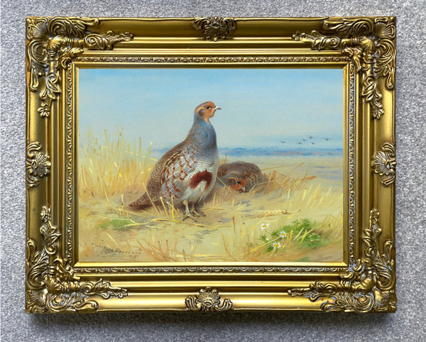 Partridge in a Moorland Landscape - Fine Lithograph on Canvas after Thorburn