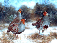 Fine Lithograph on Canvas - Partridges in a Winter Woodland Landscape