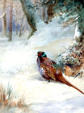 " Pheasant in Snow " Fine Oleograph on Canvas