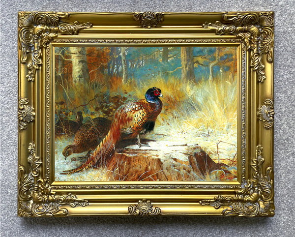 Fine Oleograph on Canvas depicting a Cock Pheasant on a Tree Stump