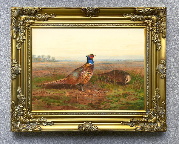 Fine Oleograph on Canvas - Cock & Hen Pheasant in a Rural Landscape aft. Thorburn