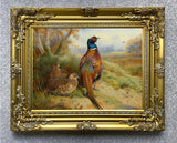 Cock  & Hen Pheasant in a Copse  - Fine Oleograph on Canvas after Thorburn