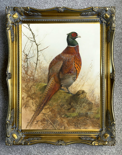 "Cock Pheasant " Fine Oleograph on Canvas after Thorburn