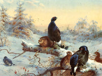 Black Game in Winter  - Fine Lithograph on Canvas after Thorburn