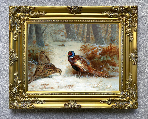 Fine Lithograph on Canvas - A Cock & Hen Pheasant in Winter aft. Thorburn