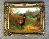 A Cock Pheasant in Woodland - Fine Oleograph on Canvas after Thorburn