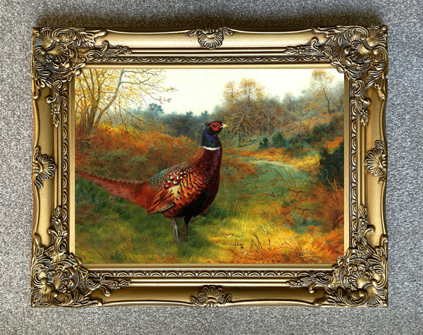 A Cock Pheasant in Woodland - Fine Oleograph on Canvas after Thorburn