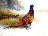 Pheasants in Winter  - Fine Oleograph on Canvas after Thorburn