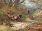 Fine Oleograph on Canvas - Pheasants & Hens in a Woodland Landscape