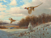 Pheasants in Flight - Fine Lithograph on Canvas in a Rococo Gesso Frame