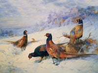 Excellent Lithograph on Canvas in a Gilt Rococo Frame - Pheasants in the Snow