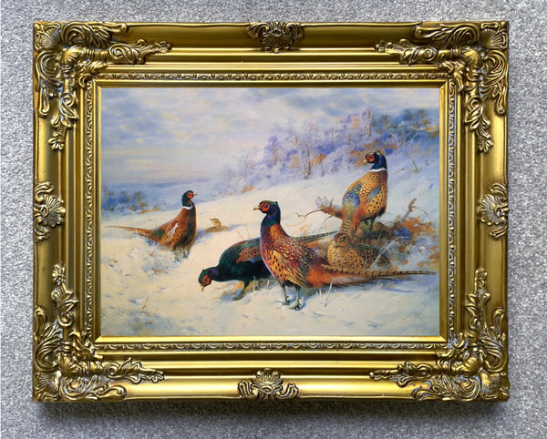 Excellent Lithograph on Canvas in a Gilt Rococo Frame - Pheasants in the Snow