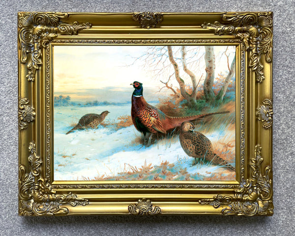 A Fine Lithograph on Stretched Canvas in an Ornate Hand Finished Rococo Frame, depicting a Cock Pheasant with Hens