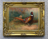 Fine Lithograph on Canvas - Cock & Hen Pheasant in a Woodland Copse aft. Thorburn