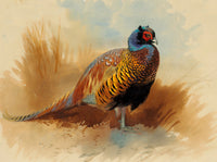 Excellent Lithograph on Canvas of a Cock Pheasant  aft. Thorburn