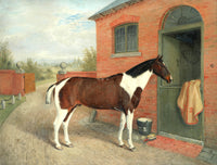 Oleograph on Canvas of a Piebald Horse by a Stable