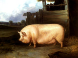 Fine Oleograph on Canvas of a Prize Pig in a Yard