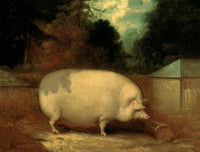 Oleograph on Canvas of a Prize Pig in a Yard