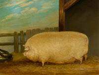 Fine Oleograph on Canvas of a Prize Pig in a Stable Yard