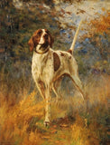 Gilt Framed Oleograph of an English Pointer