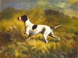 Fine Oleograph on Canvas of an English Pointer in a Landscape "On Point"