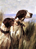 Framed Oleograph of  a Pair of Pointers in a River Landscape