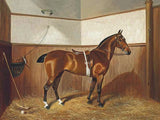 Fine Oleograph on Canvas - Portrait Study of a Polo Pony in a Stall