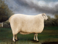 Gilt Framed  Oleograph on Canvas "A Champion Sheep"