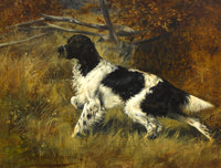 Gilt Framed Oleograph of a Setter in a Copse