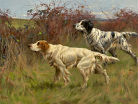 Gilt Framed Oleograph of a English Setters in the Field aft.Thomas Blinks