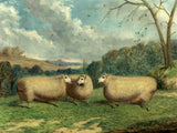 Gilt Framed Oleograph of Prize Sheep in a Leicestershire Field