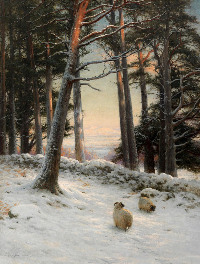 Fine Oleograph on Canvas of Sheep in a Snowy Meadow aft. J Farquharson