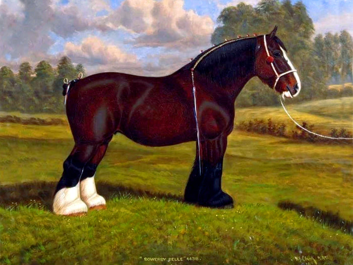 Oleograph on Canvas of the Bay Shire Horse 