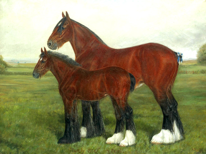 Oleograph on Canvas of the Shire Horses 