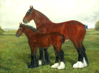 Oleograph on Canvas of the Shire Horses "Tumby Star & Foal"