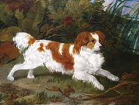 Gilt Framed Oleograph of a Field Spaniel in a Woodland Landscape