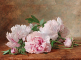 Fine Still Life Lithograph on Canvas - Pink Peonies on a Marble Ledge