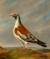 Gilt Framed Oleograph of a "Trooper Pigeon" in a Rural Landscape